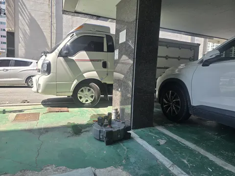 화장실배수구막힘벌레