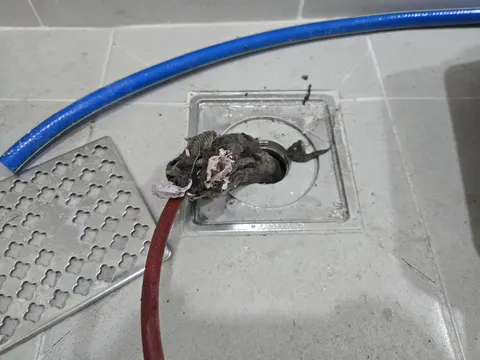 상주 화장실배수구막힘업체